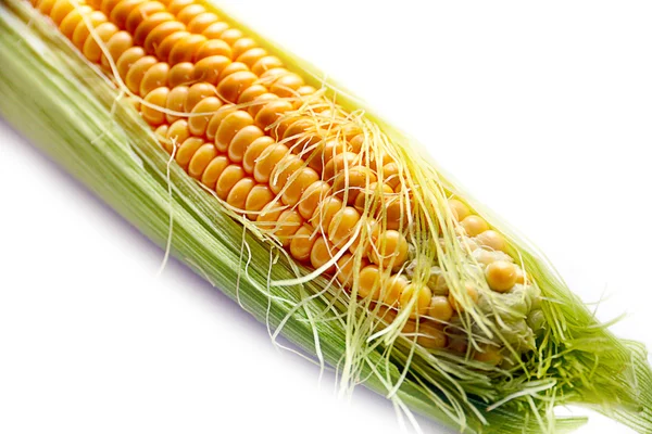 Овочева стигла кукурудза — стокове фото