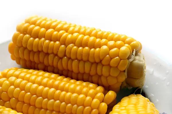 蔬菜成熟玉米 — 图库照片