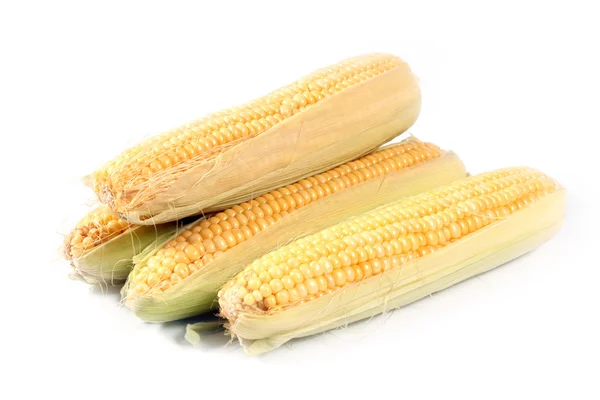 La mazorca de maíz fresco —  Fotos de Stock