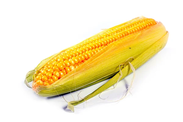 The ear of fresh corn — Stock Photo, Image