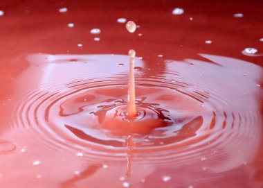 Sıvının yüzeyine bir damla su düşer.