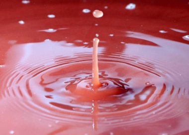 Sıvının yüzeyine bir damla su düşer.