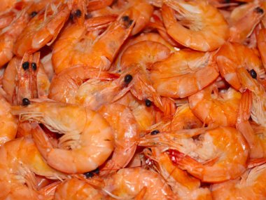 Haşlanmış deniz karidesleri yemek için hazırlanıyor.