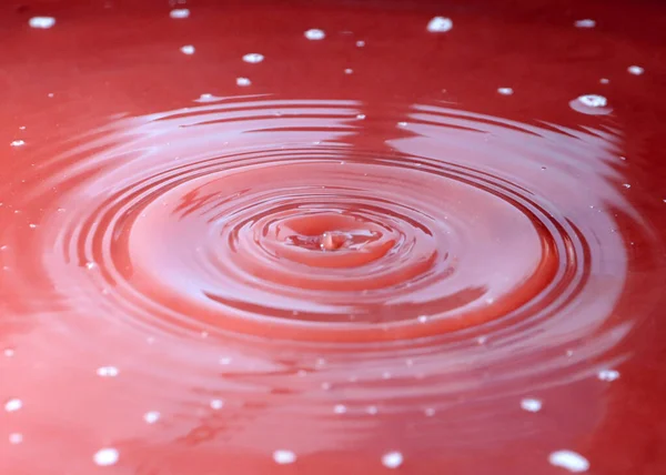 Uma Gota Água Cai Sobre Superfície Líquido — Fotografia de Stock