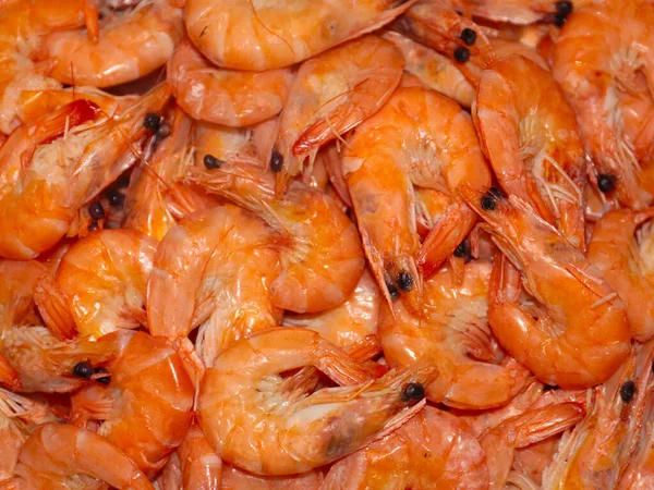 boiled sea prawns on a dish prepared for food