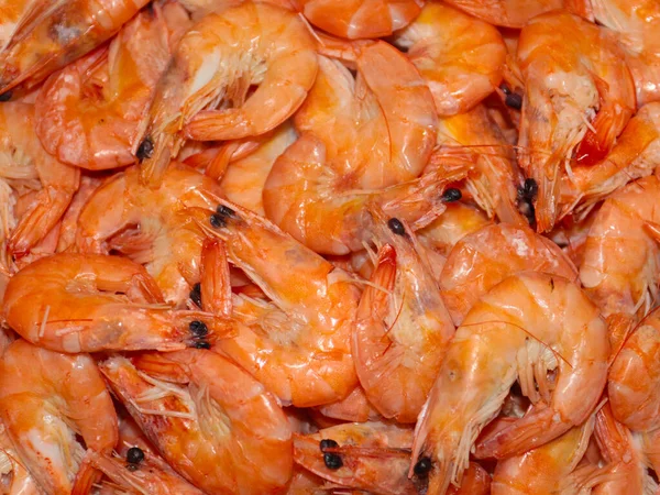 boiled sea prawns on a dish prepared for food