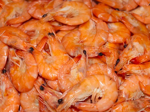 boiled sea prawns on a dish prepared for food