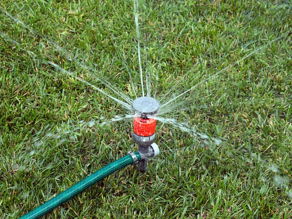 Regar Césped Con Rociador Agua Plástico —  Fotos de Stock