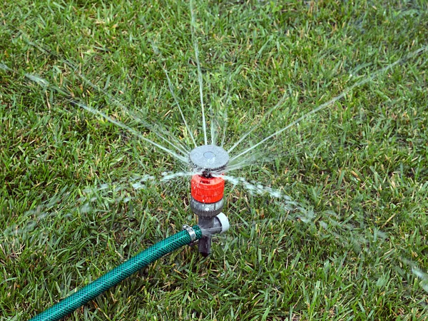 Watering Grass Lawn Using Plastic Water Sprayer — Stock Photo, Image