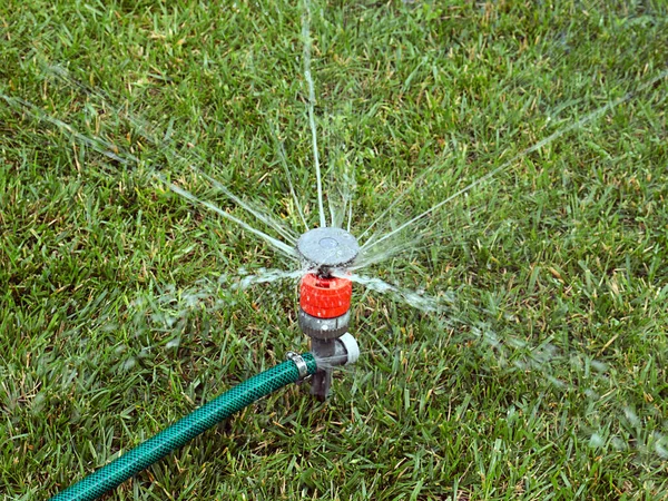 Watering Grass Lawn Using Plastic Water Sprayer — Stock Photo, Image