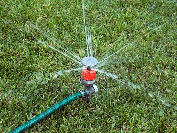 Watering Grass Lawn Using Plastic Water Sprayer — Stock Photo, Image