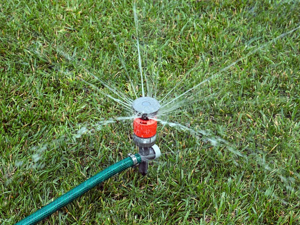 Regar Césped Con Rociador Agua Plástico —  Fotos de Stock