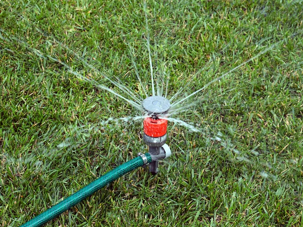 Regar Césped Con Rociador Agua Plástico —  Fotos de Stock