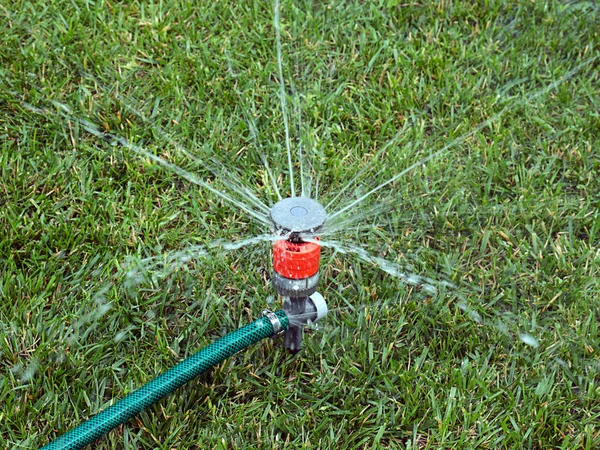 Het Gras Besproeien Met Een Plastic Sproeiapparaat — Stockfoto