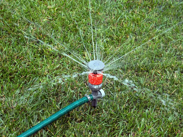 Menyiram Rumput Menggunakan Penyemprot Air Plastik — Stok Foto