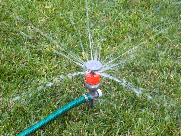 watering the grass lawn using a plastic water sprayer