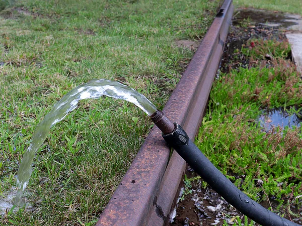 芝生にゴム製のホースで水をやり — ストック写真
