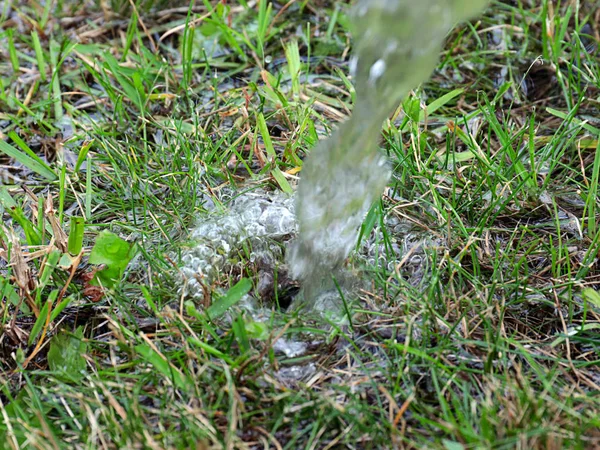 Ein Strom Klaren Wassers Fällt Auf Das Grüne Gras Des — Stockfoto