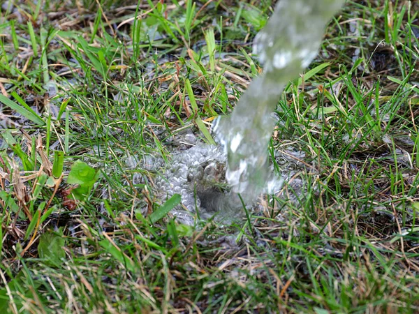 Arroyo Agua Clara Cae Sobre Hierba Verde Del Césped — Foto de Stock