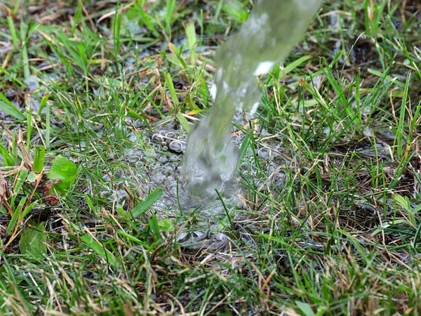 Ein Strom Klaren Wassers Fällt Auf Das Grüne Gras Des — Stockfoto
