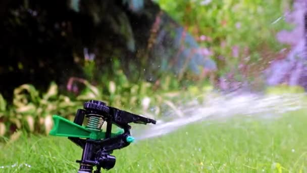 Plastic Sprayer Emits Jet Water Watering Green Grass Lawn — Stock Video