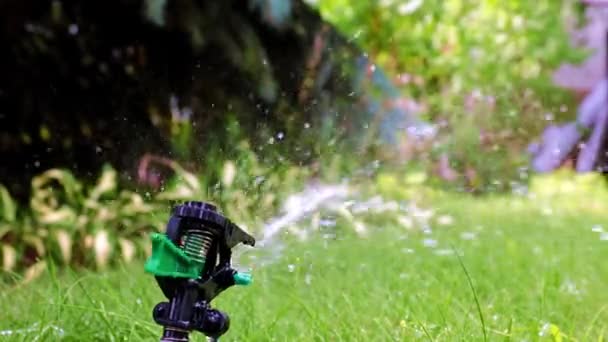 Plastic Sprayer Emits Jet Water Watering Green Grass Lawn — ストック動画