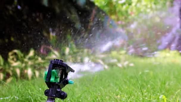 Plastic Sprayer Emits Jet Water Watering Green Grass Lawn — ストック動画