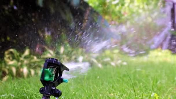 Kunststoffsprüher Gibt Beim Gießen Des Grünen Rasens Einen Wasserstrahl — Stockvideo