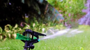 Plastik sprey çimlerin yeşil çimlerini sularken bir su püskürtücü yayar.