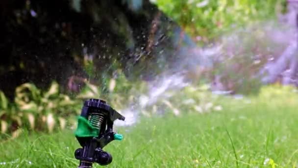 Plastic Sprayer Emits Jet Water Watering Green Grass Lawn — ストック動画