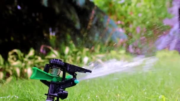 Plastic Sprayer Emits Jet Water Watering Green Grass Lawn — Stock Video