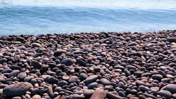 Велика Галька Скелястому Морському Пляжі — стокове відео