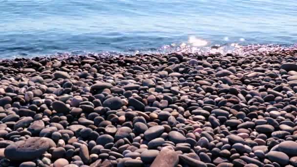 Große Kieselsteine Einem Felsigen Meeresstrand — Stockvideo