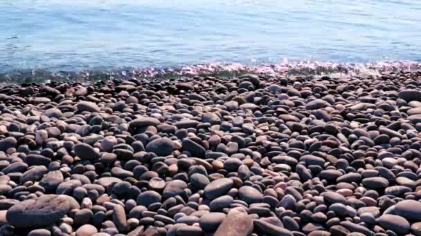 Велика Галька Скелястому Морському Пляжі — стокове відео