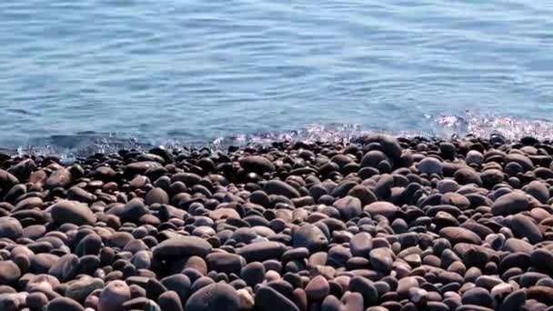 Большие Гальки Скалистом Морском Пляже — стоковое видео