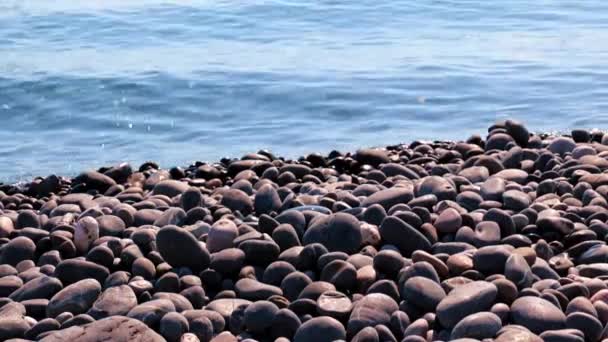 Grandi Ciottoli Una Spiaggia Rocciosa — Video Stock