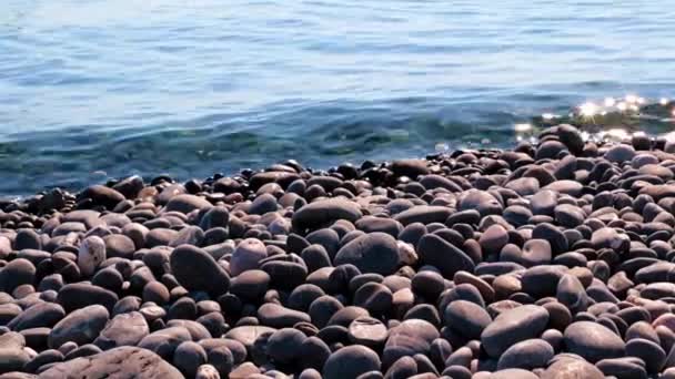 Большие Гальки Скалистом Морском Пляже — стоковое видео