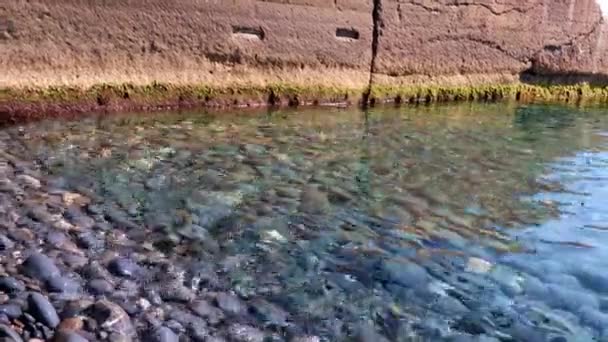 Meerwasser Und Die Mauer Des Wellenbrechers — Stockvideo