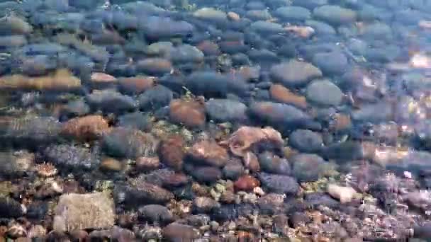 Acqua Limpida Copre Pietre Della Spiaggia Del Mare — Video Stock