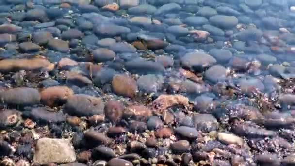 清澈的水覆盖着海滩上的石头 — 图库视频影像