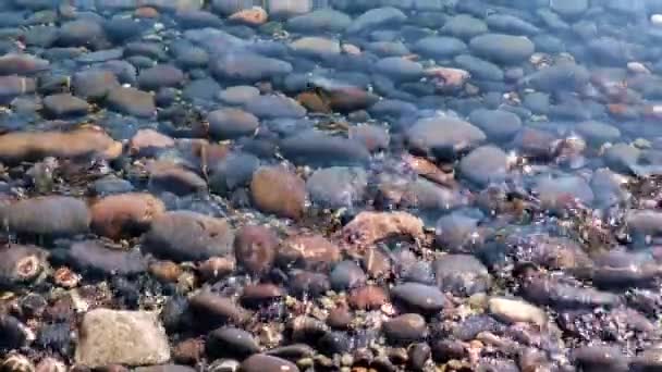 Eau Claire Couvre Les Pierres Plage Mer — Video