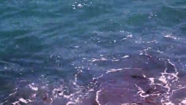 Schiuma Sulla Superficie Del Mare Surf — Video Stock