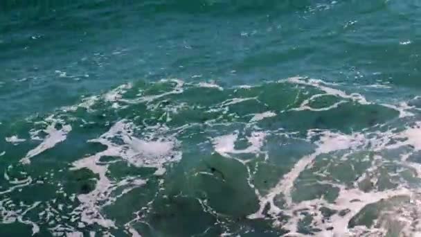 Schuim Het Oppervlak Van Zee Surf — Stockvideo
