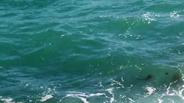 Schiuma Sulla Superficie Del Mare Surf — Video Stock