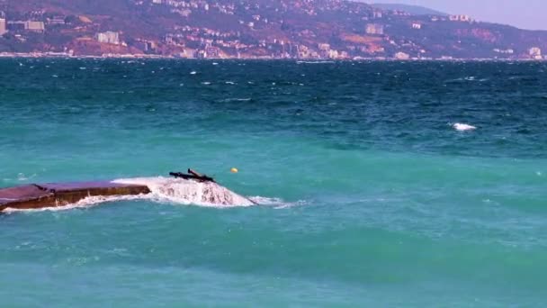 Морські Хвилі Бетонні Розбивні Води Узбережжі — стокове відео