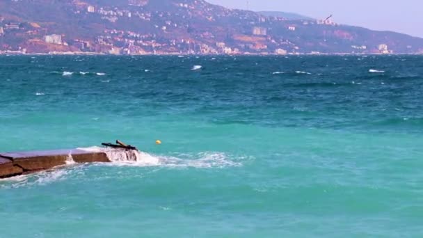 海岸の波やコンクリートの防波堤は — ストック動画