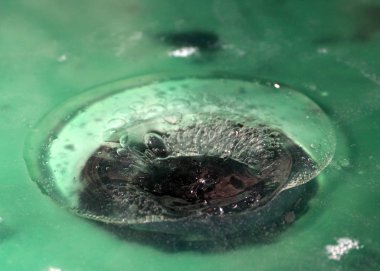 Suyun yüzeyine düşerken bir sıvı damlası oluşturur