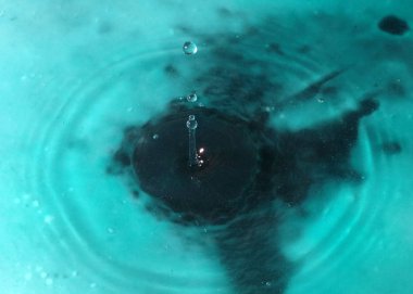 Suyun yüzeyine düşerken bir sıvı damlası oluşturur