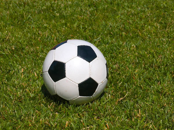 Футбольный Мяч Лежит Зеленой Траве Газона Поля Игры — стоковое фото