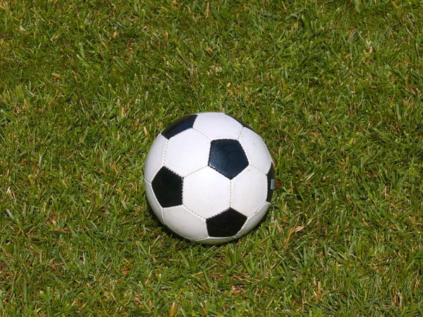 Soccer Ball Lies Green Grass Lawn Field Game — Stock Photo, Image